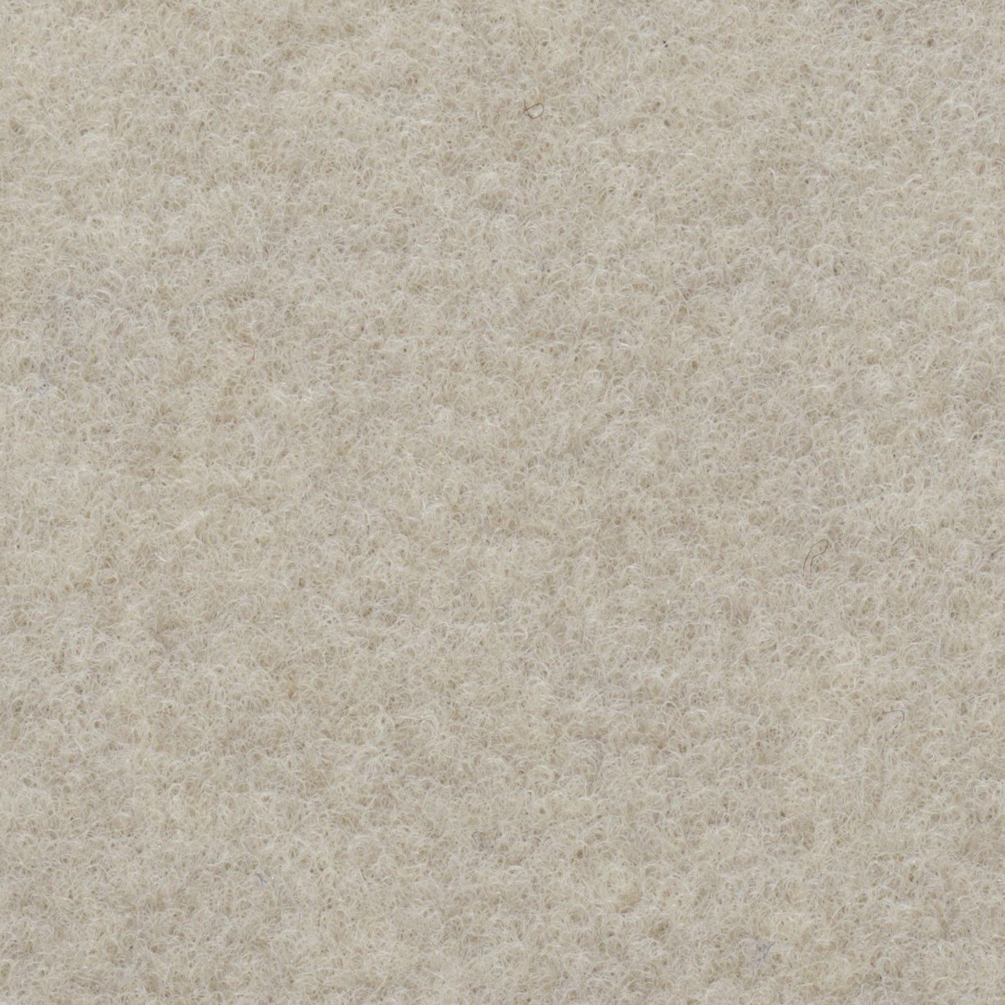 Beiger, dichter Teppichboden aus Filz schafft eine weiche, komfortable Oberfläche, ideal für Wohn- oder Schlafzimmer. Struktur unifarben, mit feiner, flauschiger Textur.