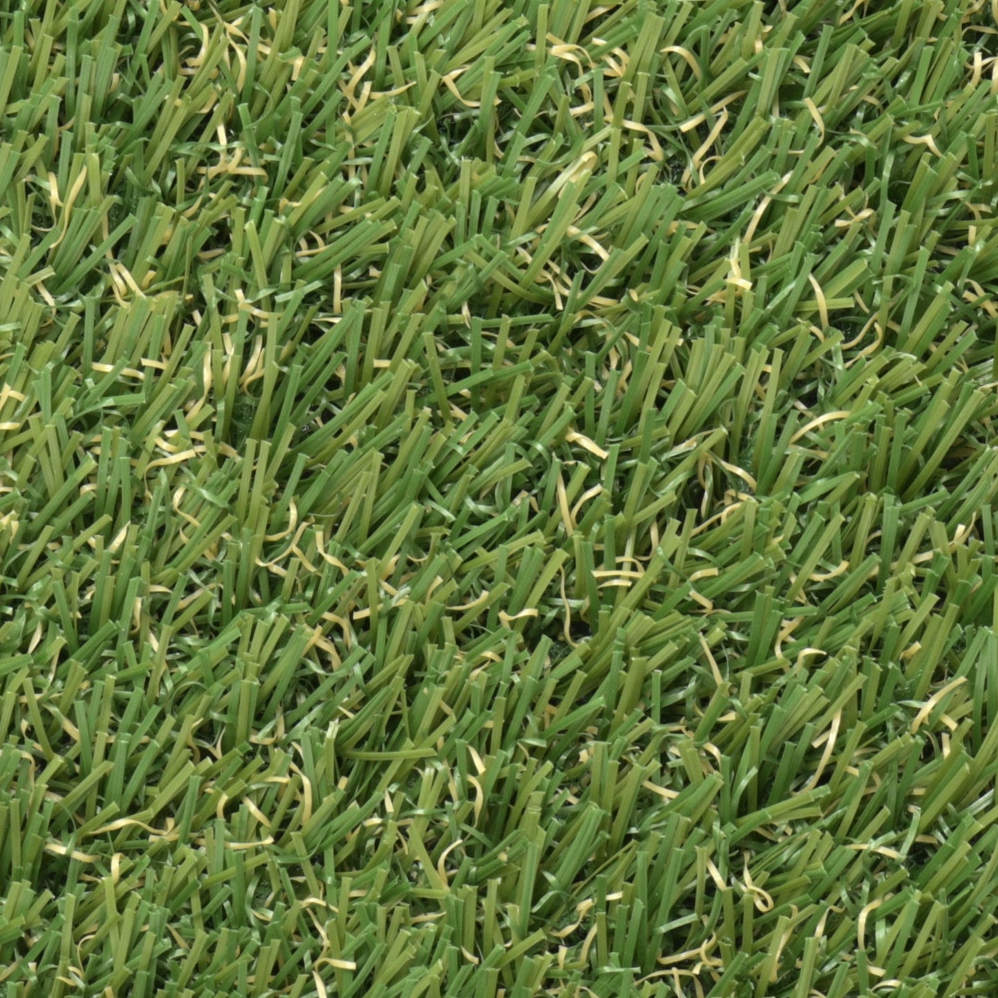 Grass Indoor