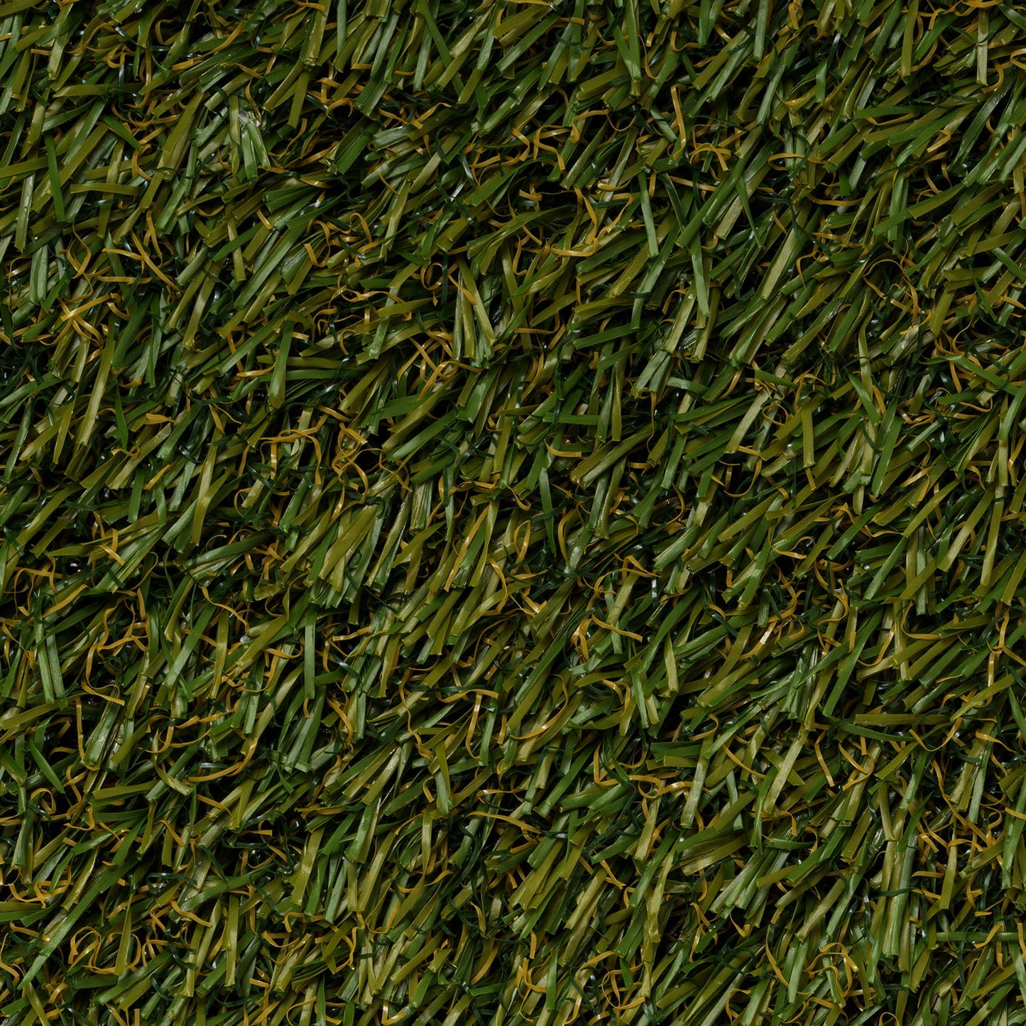 Grass Outdoor/ Landscape