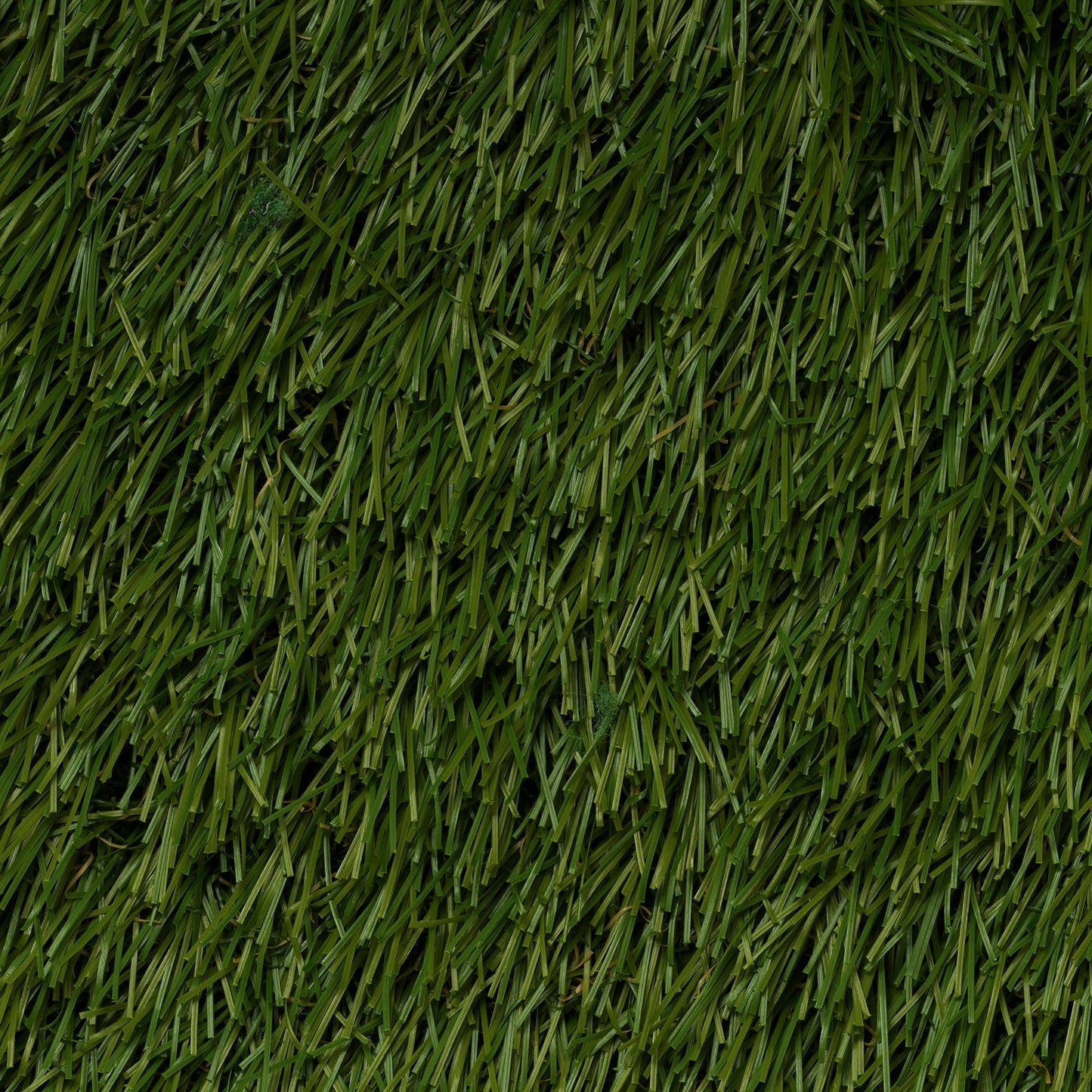 Grass Outdoor/ Landscape