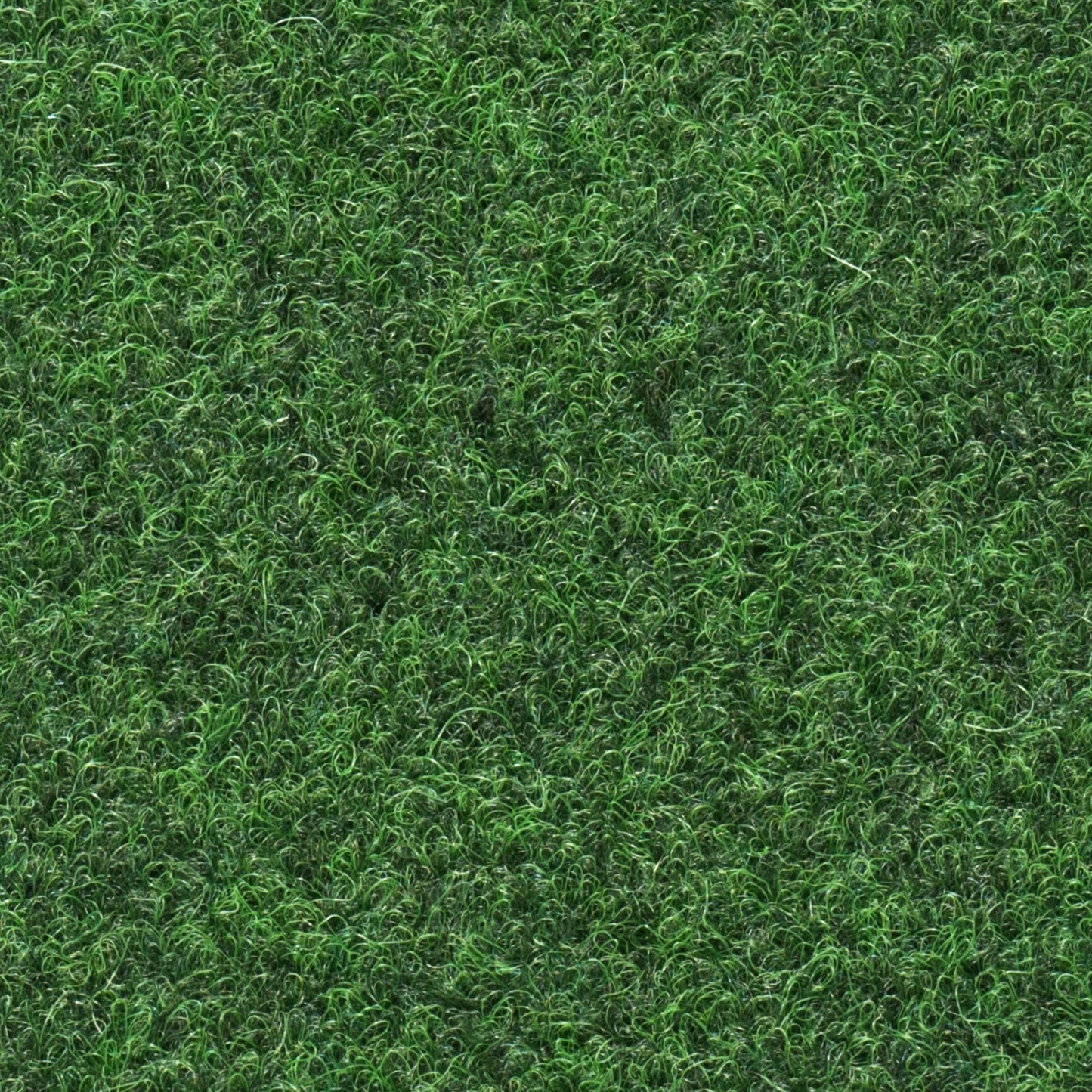 Grass Indoor