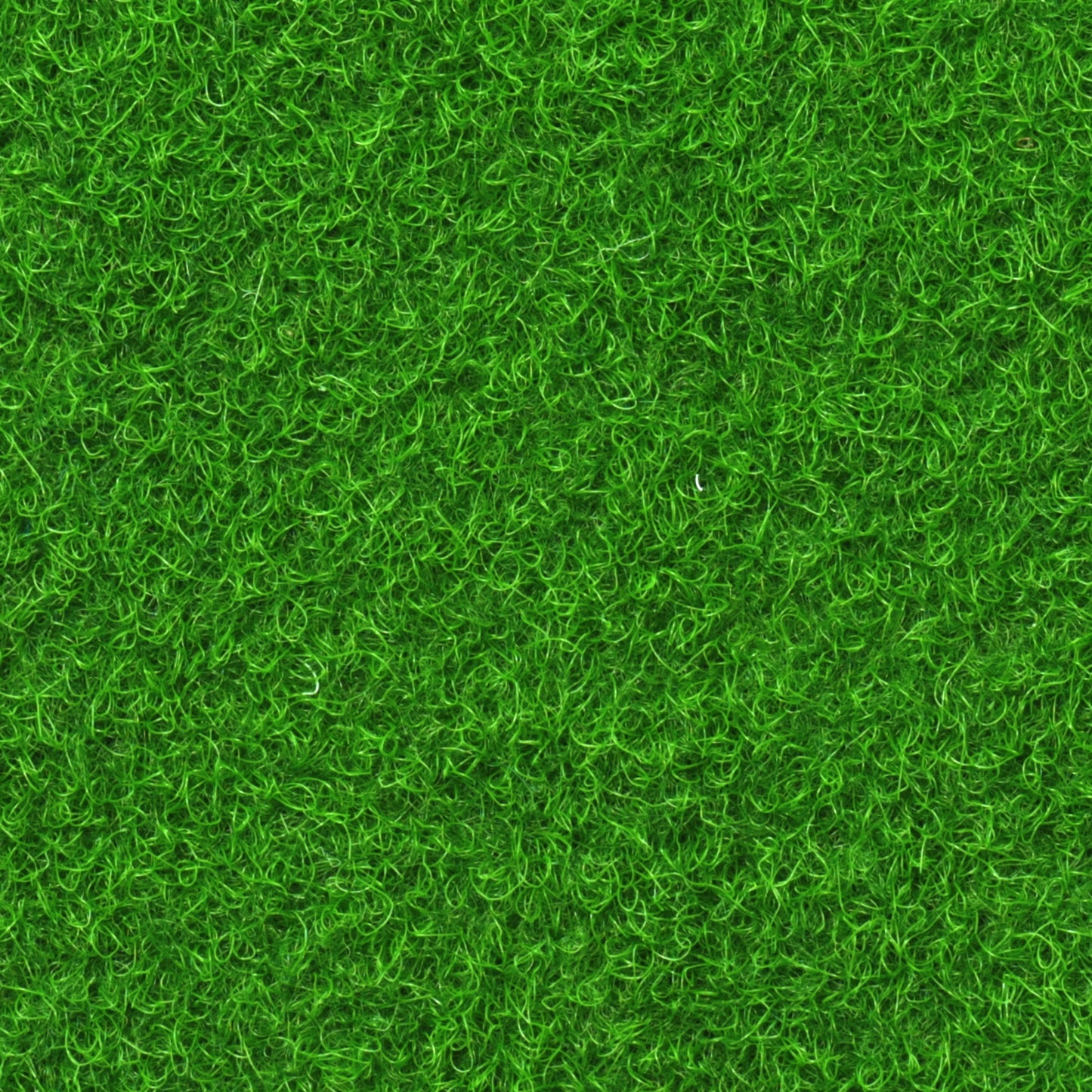 Grass Outdoor/ Landscape