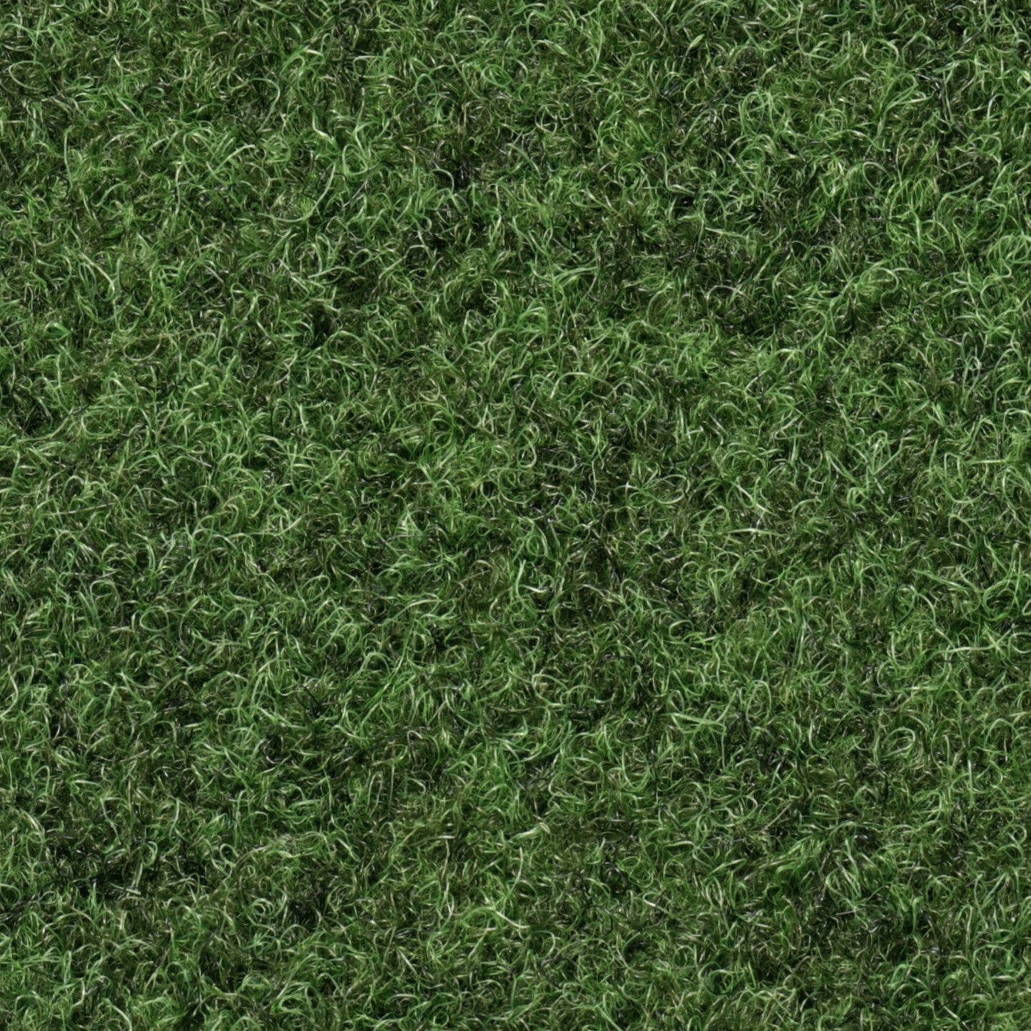 Grass Outdoor/ Landscape