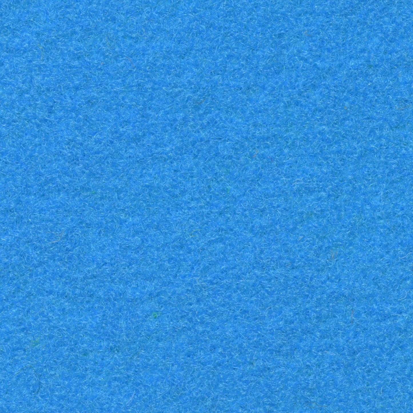 Salsa Folie