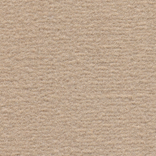 Beiger Teppichboden mit weicher, strukturierter Oberfläche. Die gleichmässige Textur vermittelt einen warmen, einladenden Eindruck.