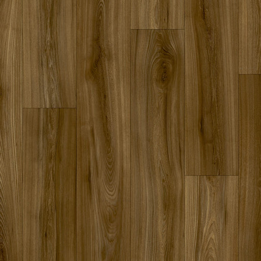 Twilight (biographie attribuée)